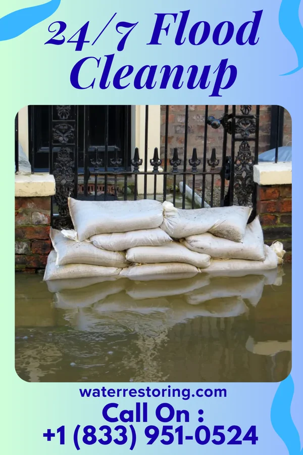 24/7 Flood Cleanup in New Amsterdam, IN