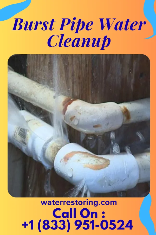 Burst Pipe Water Cleanup in New Amsterdam, IN
