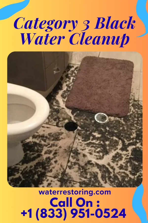 Category 3 Black Water Cleanup in New Amsterdam, IN