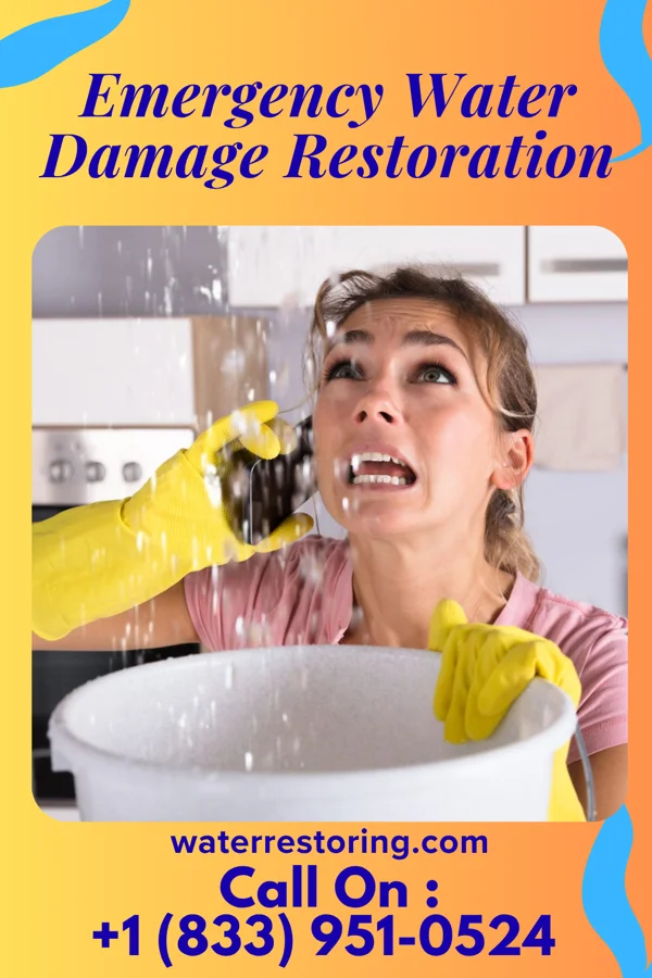 Emergency Water Damage Restoration in New Amsterdam, IN