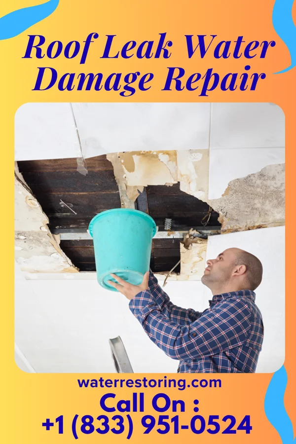 Roof Leak Water Damage Repair in New Amsterdam, IN