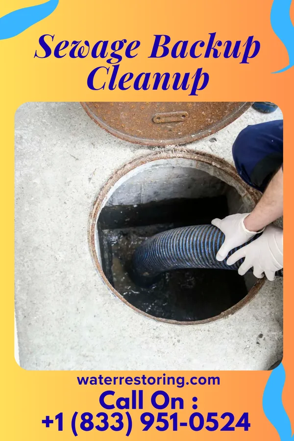 Sewage Backup Cleanup in New Amsterdam, IN